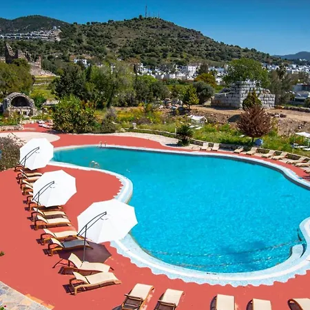 Complex Historical Museum 2*