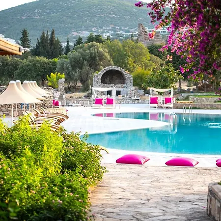 Complex Historical Museum 2*