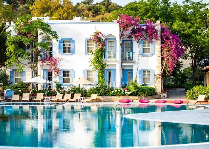 Курортный комплекс Historical Museum 2*