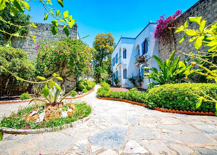 Ośrodek wypoczynkowy Historical Museum