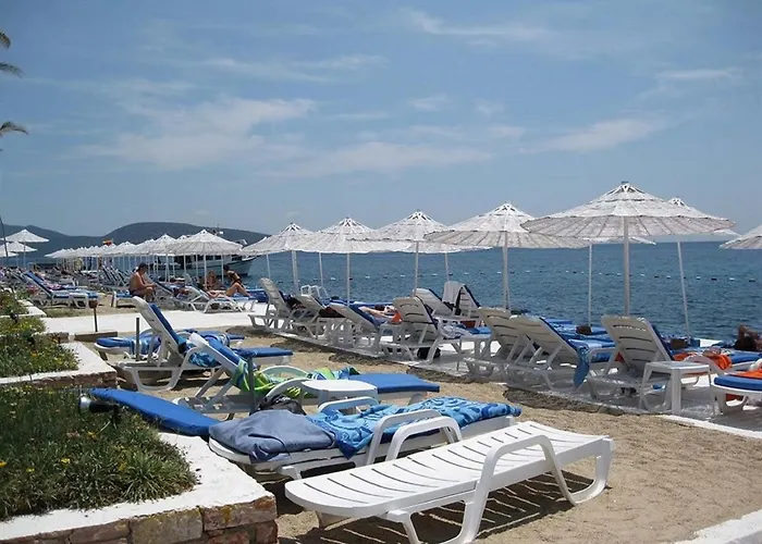 Historical Museum 리조트 2*